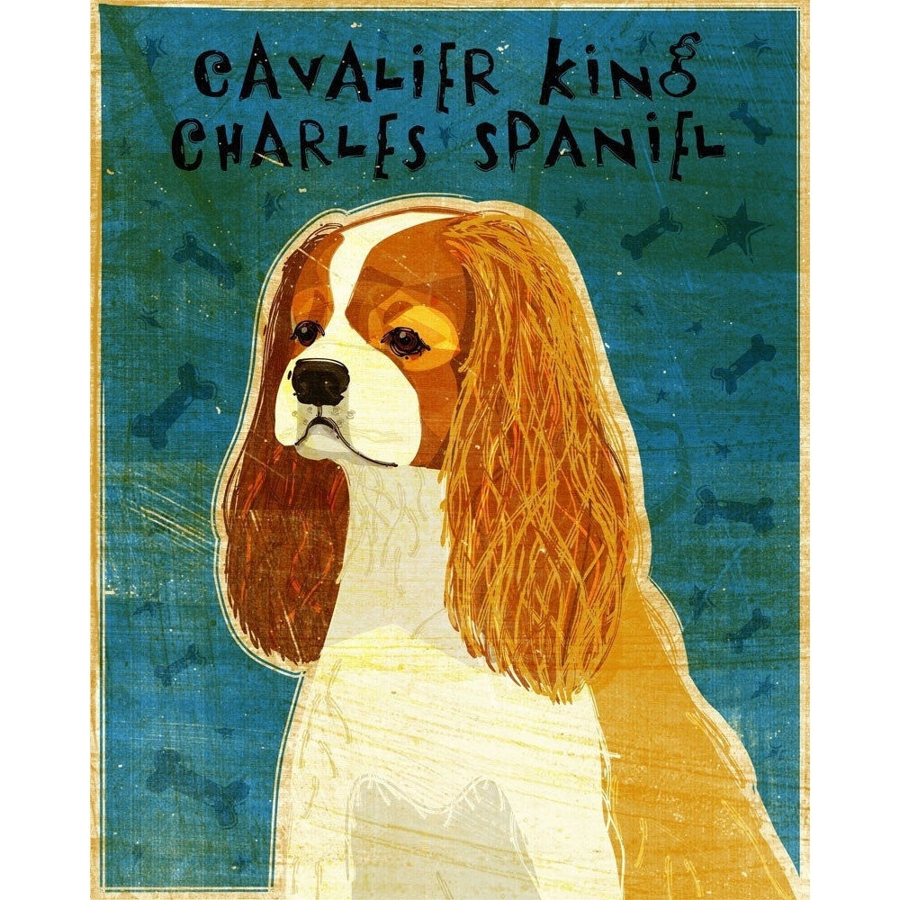 John W Golden 50 Dogs Flash Cards