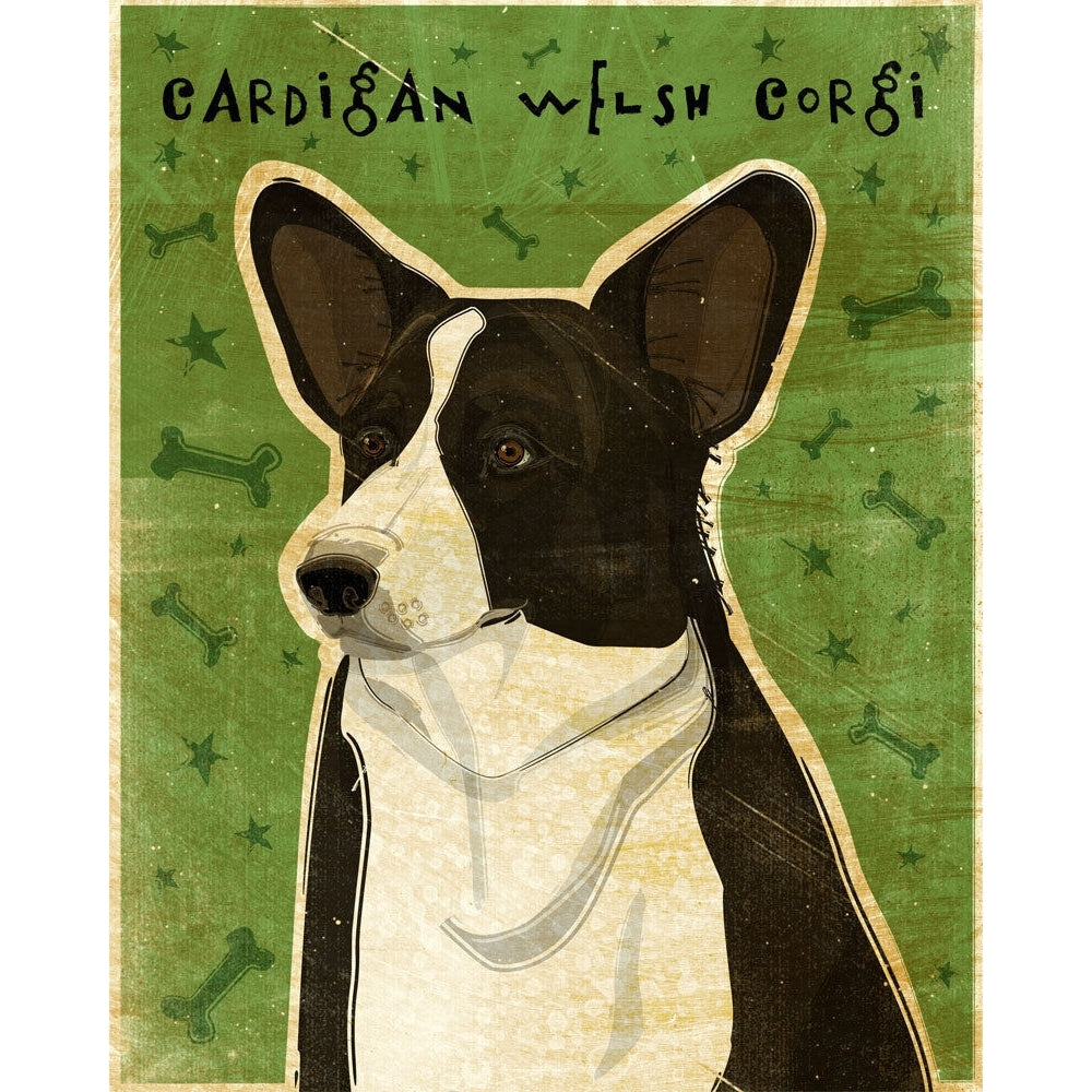 John W Golden 50 Dogs Flash Cards