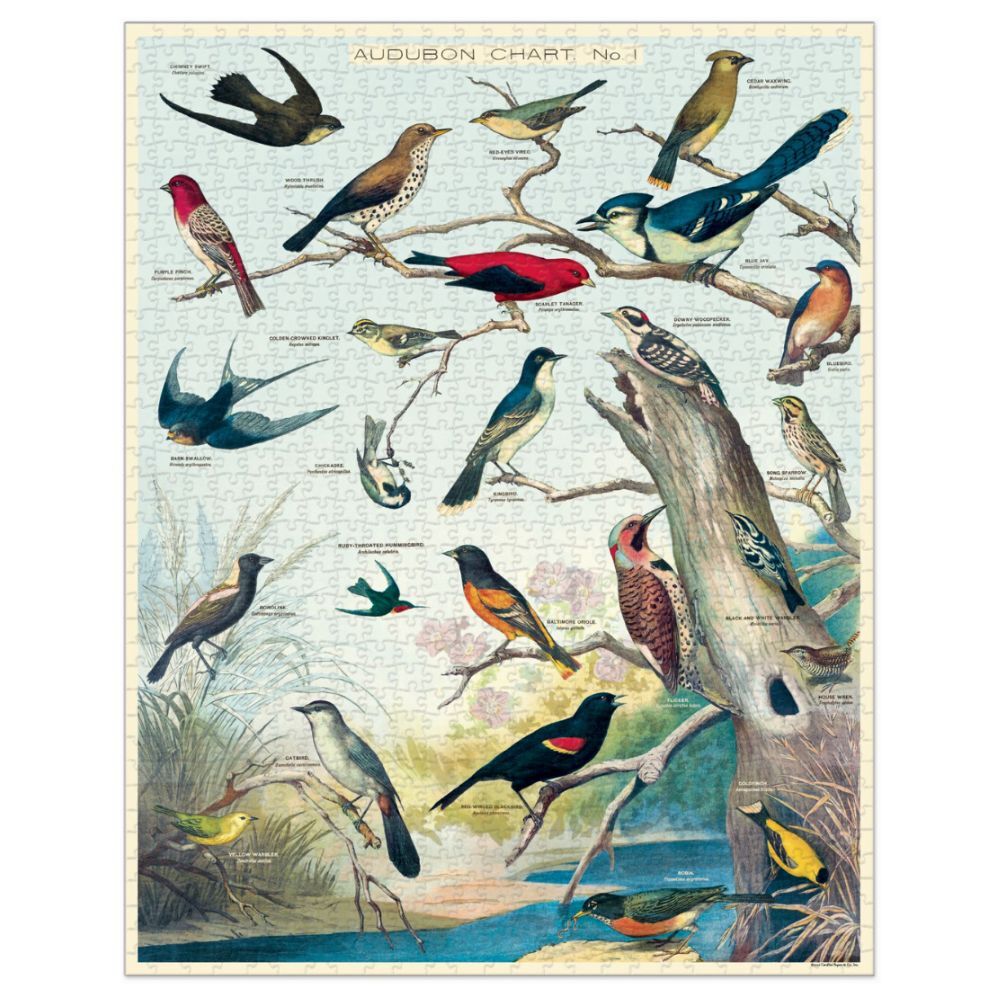 Cavallini Vintage Puzzle Audubon Birds 1000 Piece
