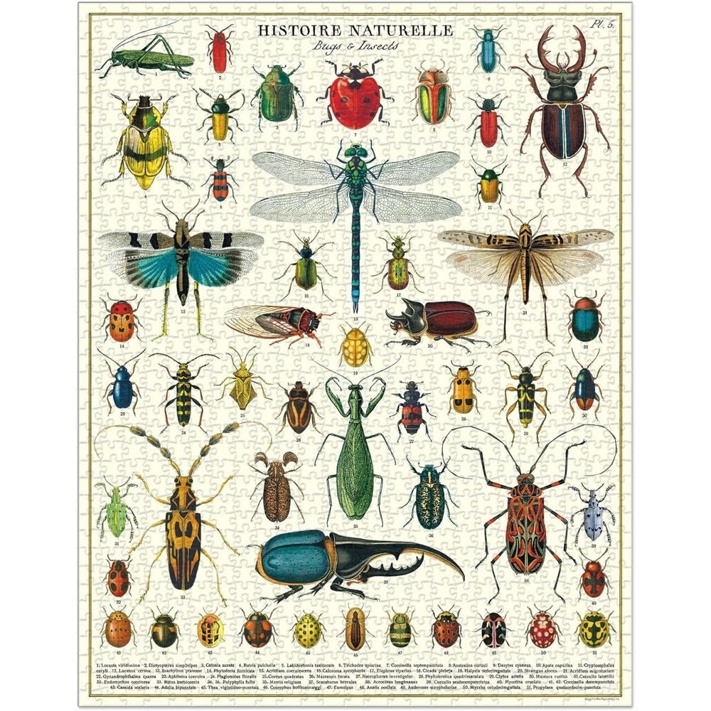 Cavallini Vintage Puzzle Bugs & Insects 1000 Piece