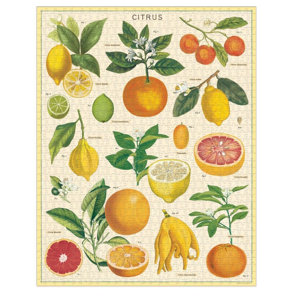 Cavallini Vintage Puzzle Citrus 1000 Piece