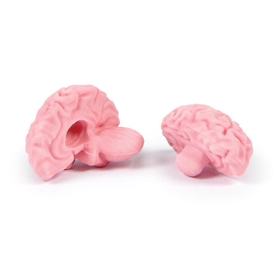 Fred & Friends Think Again Brain Eraser