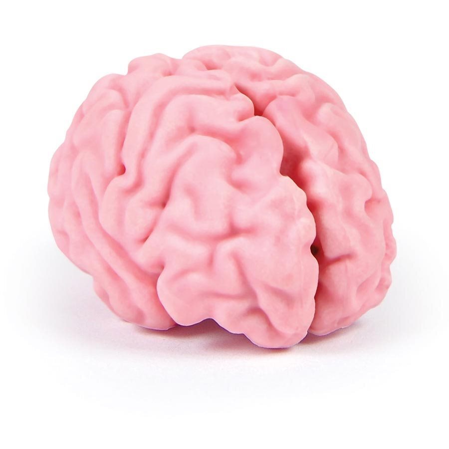 Fred & Friends Think Again Brain Eraser