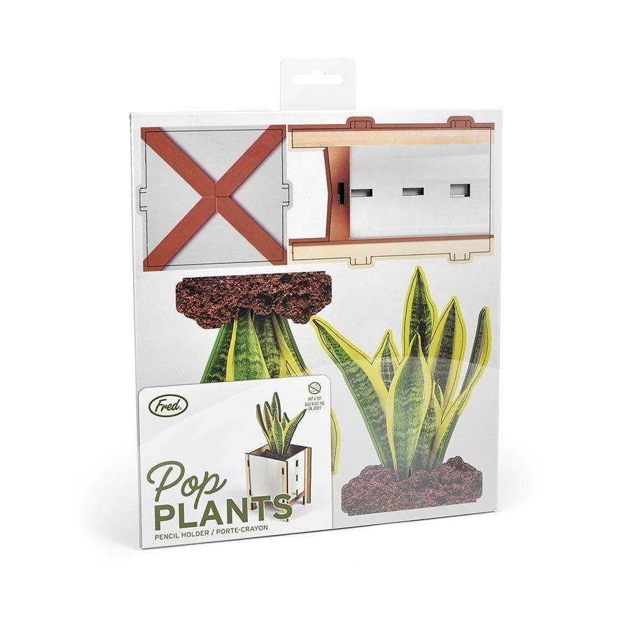 Fred Pop Desk Plants - Snake Plant
