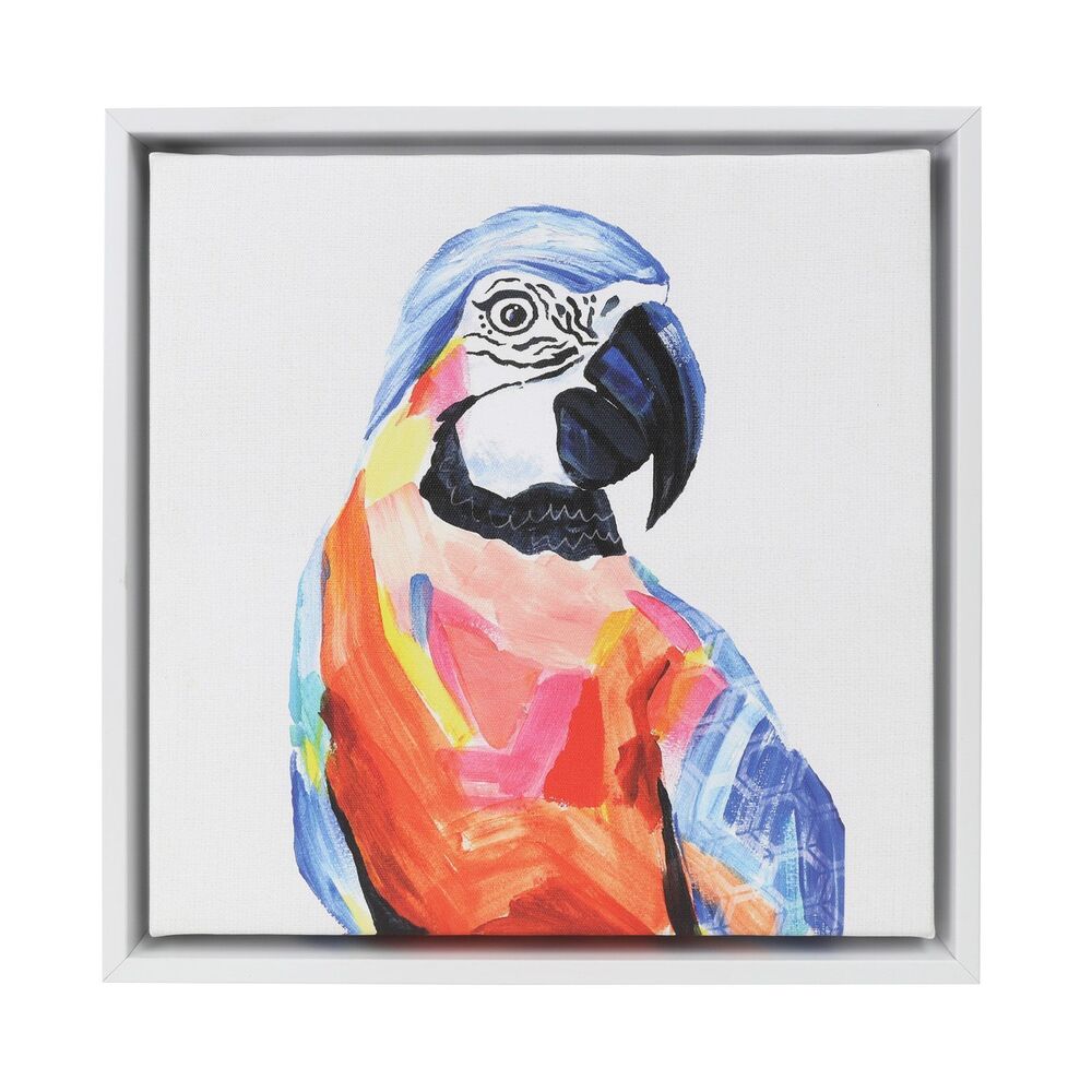 Splosh Bright and Bold Parrot Framed Canvas