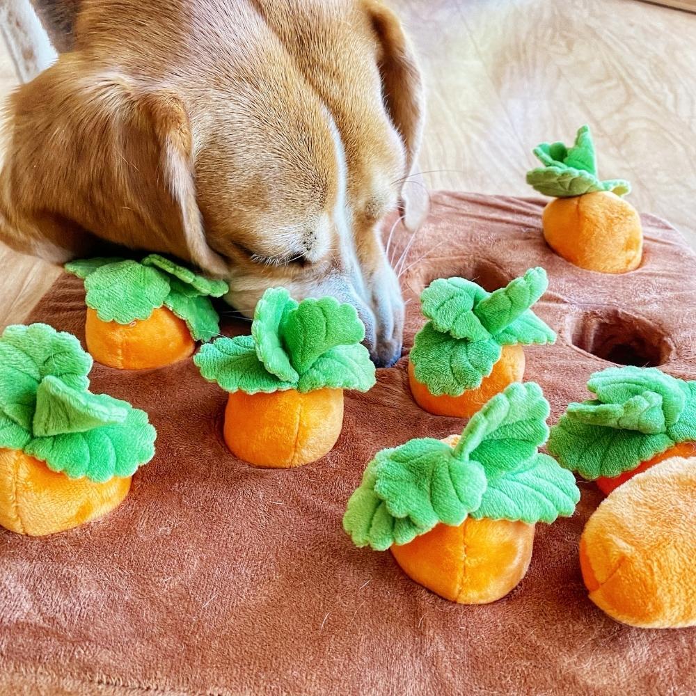 Interactive Carrot Pet Snuffle Mat