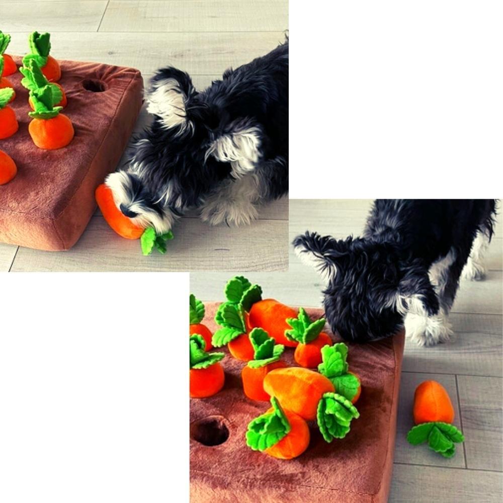 Interactive Carrot Pet Snuffle Mat