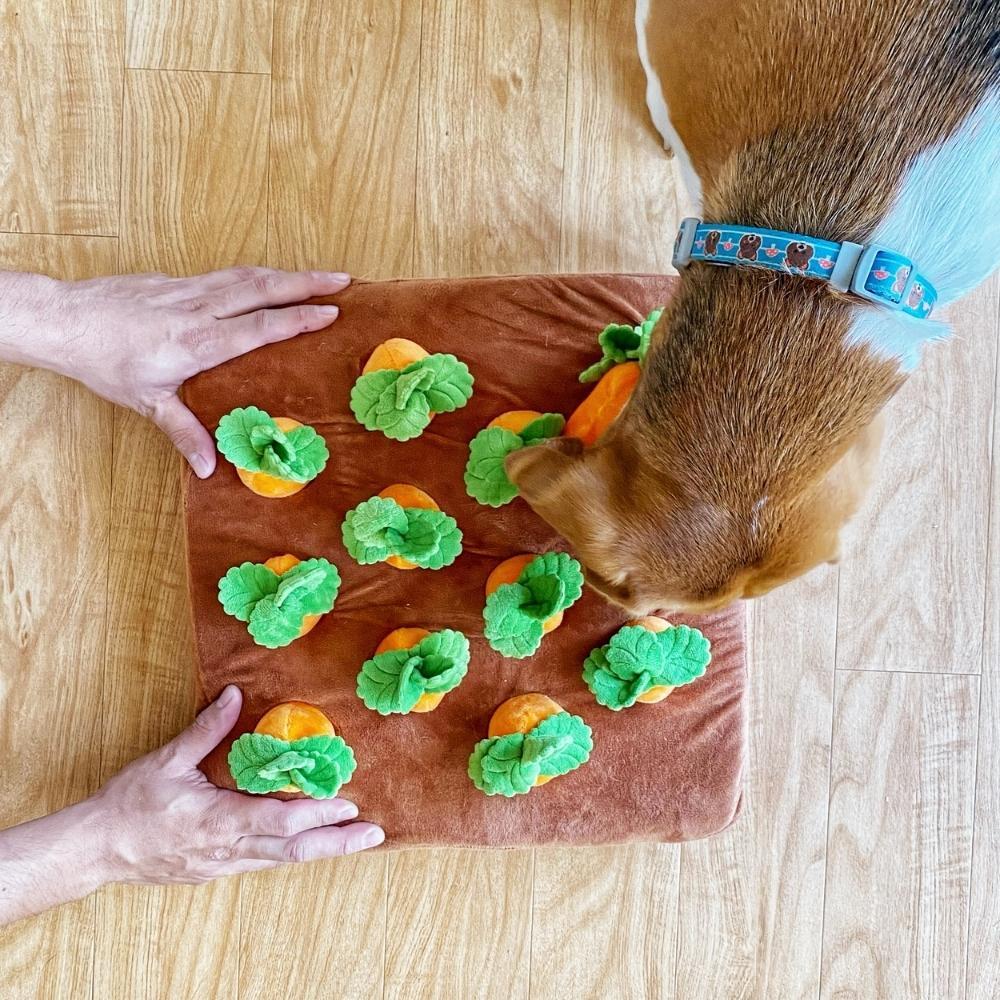 Interactive Carrot Pet Snuffle Mat