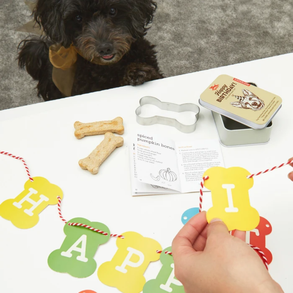 Kikkerland Dog Birthday Kit