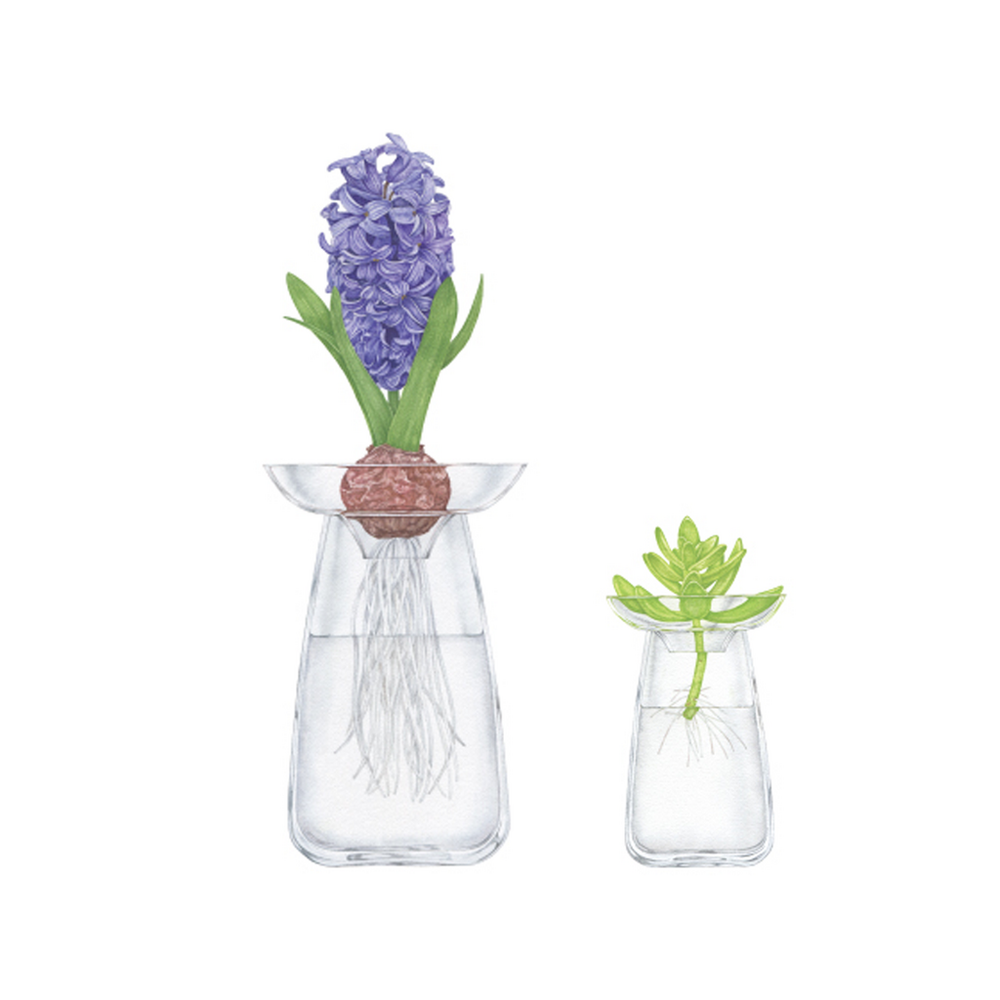 Kinto Aqua Culture Vase Large Clear