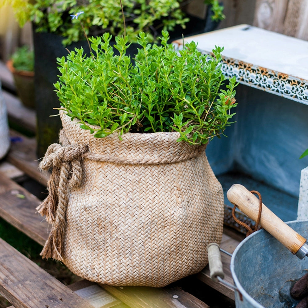 Jute Cement Plant Pot 14cm