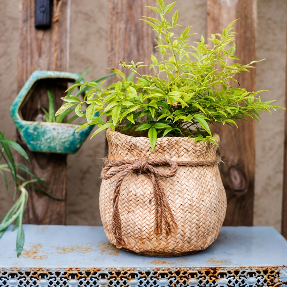 Jute Cement Plant Pot 14cm