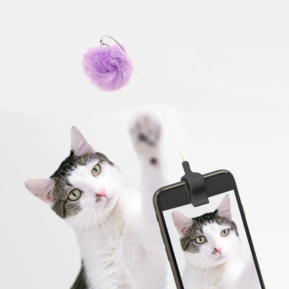 Kikkerland Kitty Phone Clip (Assorted)