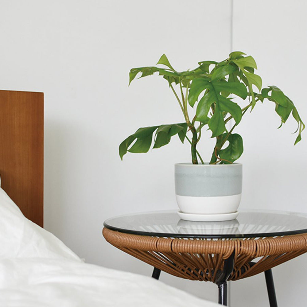 Kinto Plant Pot 193 Blue Grey - Medium