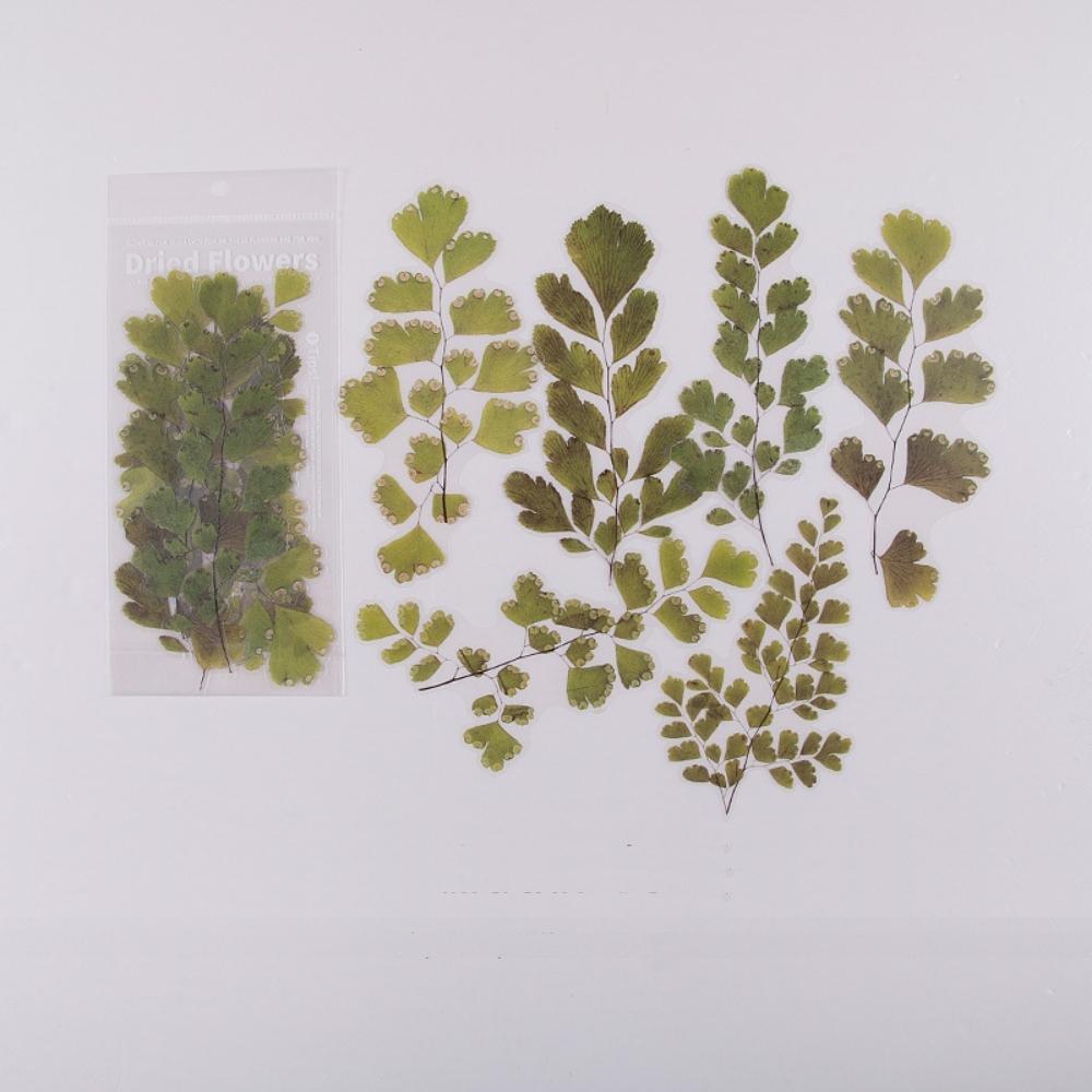 Weekend Flower Shop Large PET Stickers Set of 6 - Greenery