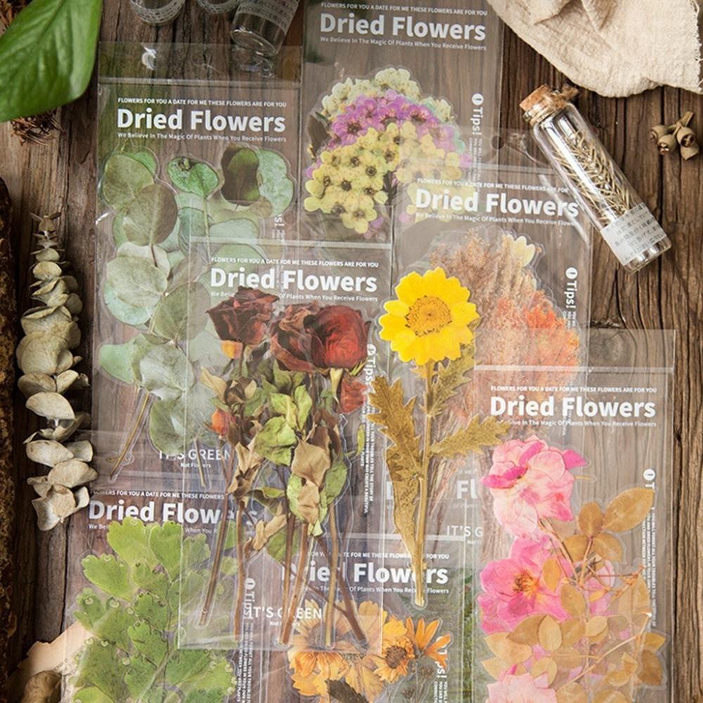 Weekend Flower Shop Large PET Stickers Set of 6 - Greenery