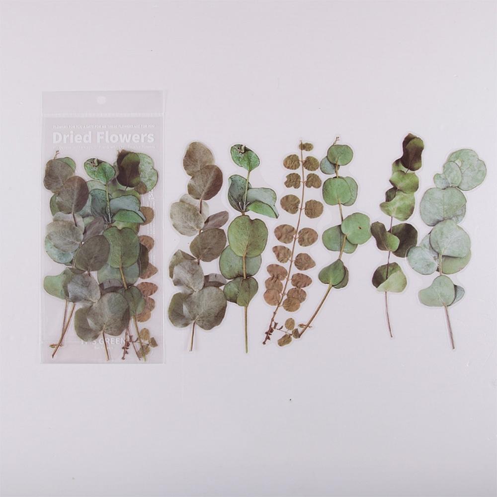 Weekend Flower Shop Large PET Stickers Set of 6 - Eucalyptus