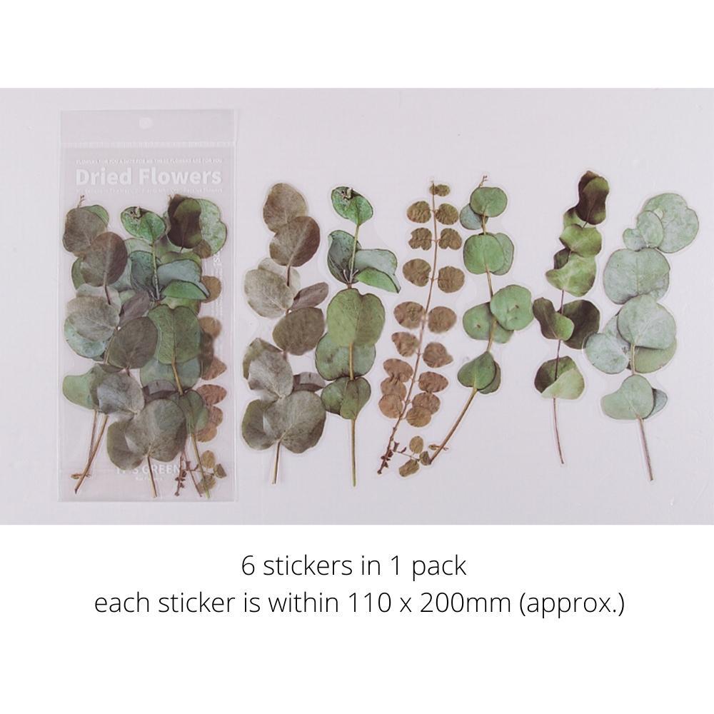 Weekend Flower Shop Large PET Stickers Set of 6 - Eucalyptus