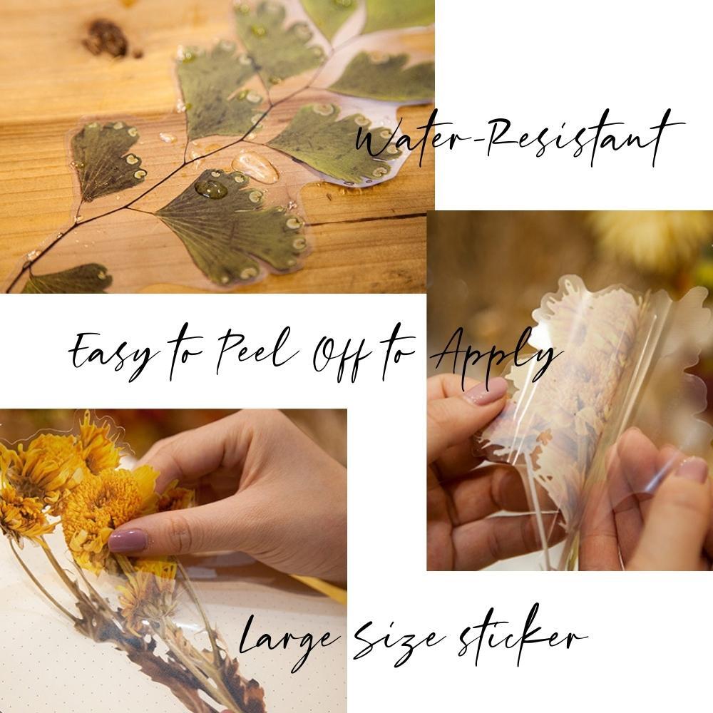Weekend Flower Shop Large PET Stickers Set of 6 - Eucalyptus