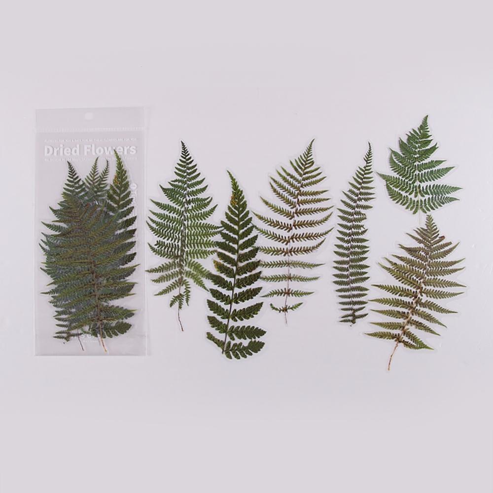 Weekend Flower Shop Large PET Stickers Set of 6 - Evergreen