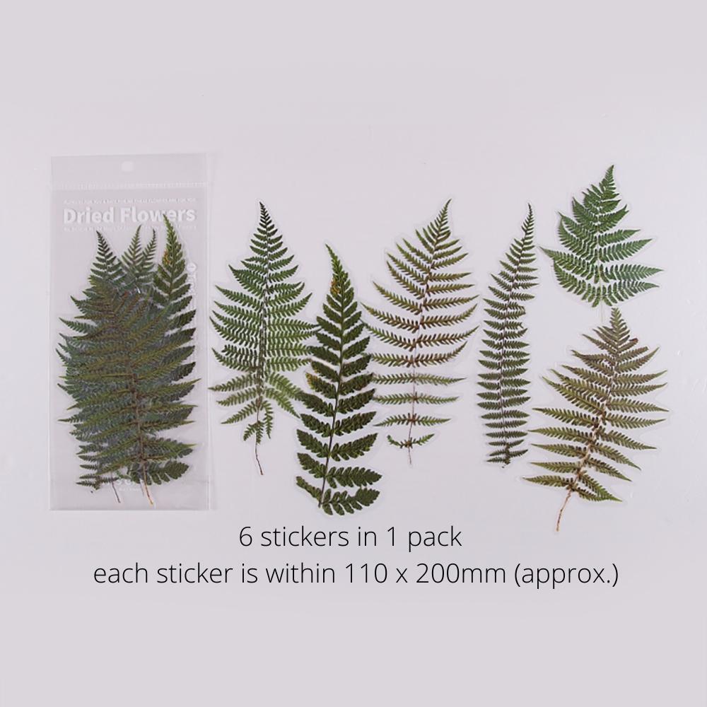 Weekend Flower Shop Large PET Stickers Set of 6 - Evergreen