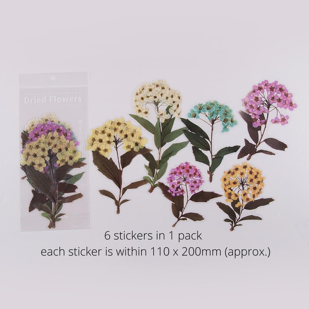 Weekend Flower Shop Large PET Stickers Set of 6 - Summer