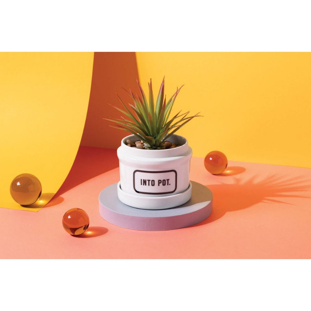 Brass Monkey Into Pot Ceramic Planter with Drip Tray