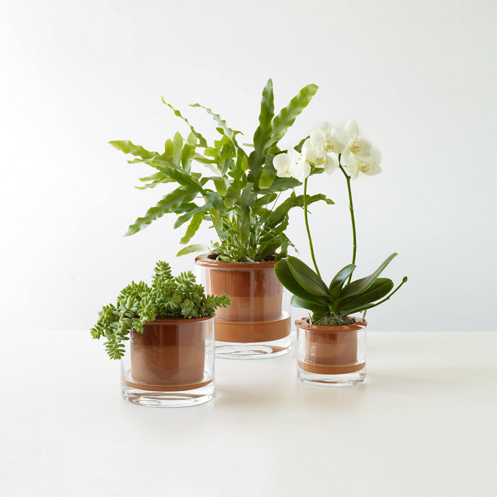 MoMA WetPot M Self Watering Pot