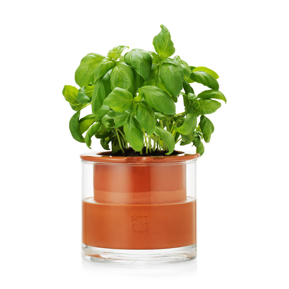 MoMA WetPot S Self Watering Pot