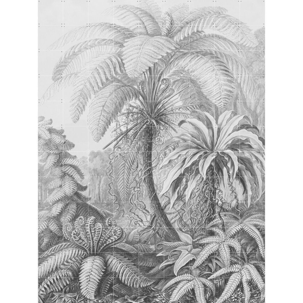 IXXI Ferns Wall Art 180x240cm