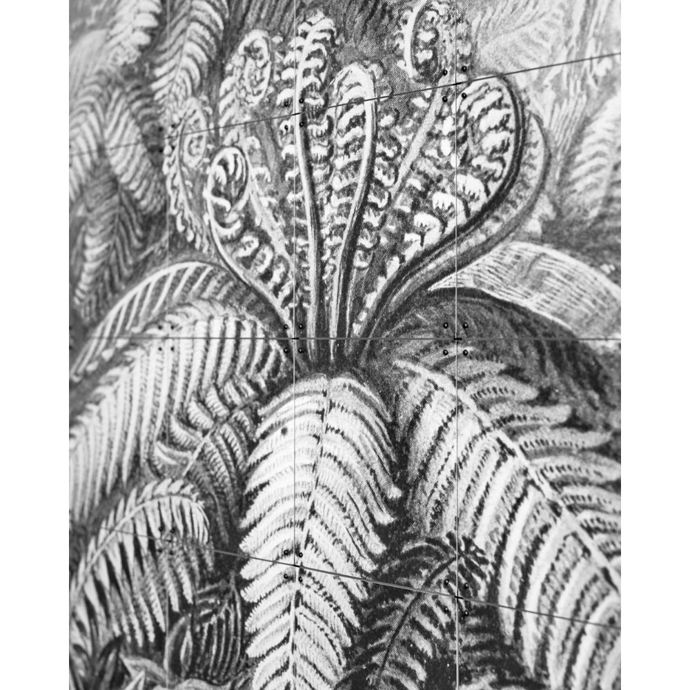 IXXI Ferns Wall Art 180x240cm