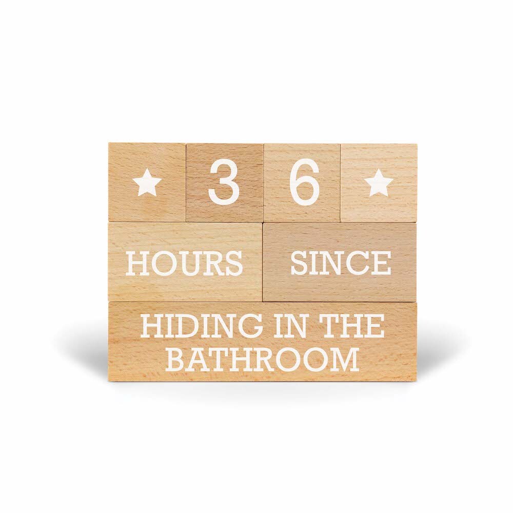 Fred - Who's Counting? Parenting Milestone Blocks