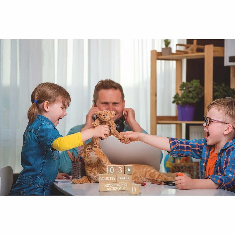 Fred - Who's Counting? Parenting Milestone Blocks