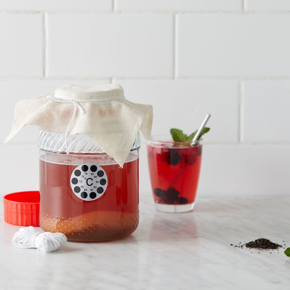 Davis & Waddell Homemade Co Kombucha Brewing Kit 2L