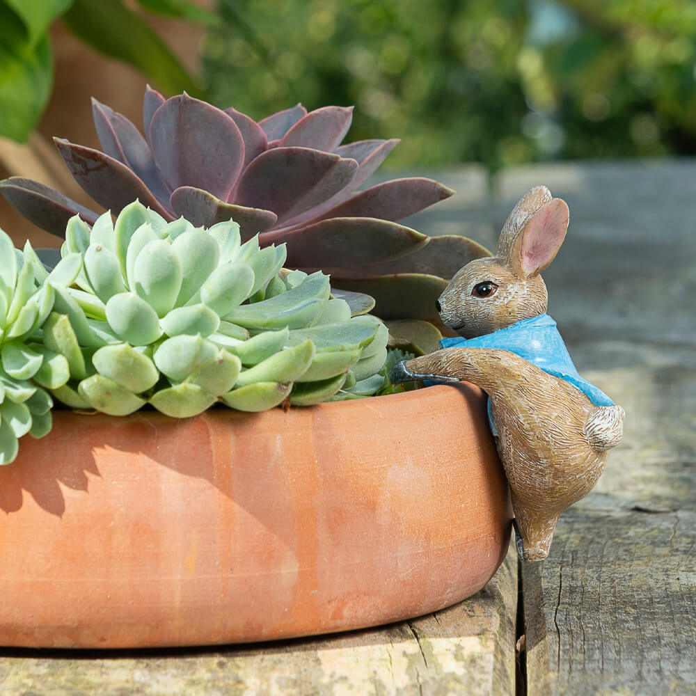 Jardinopia Pot Buddies Beatrix Potter Peter Rabbit Climbing into Pot