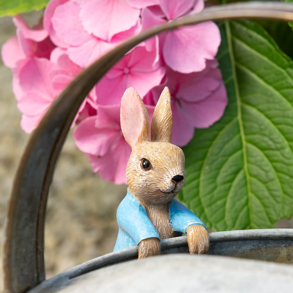 Pot Buddies Beatrix Potter Peter Rabbit Hanging on the Pot