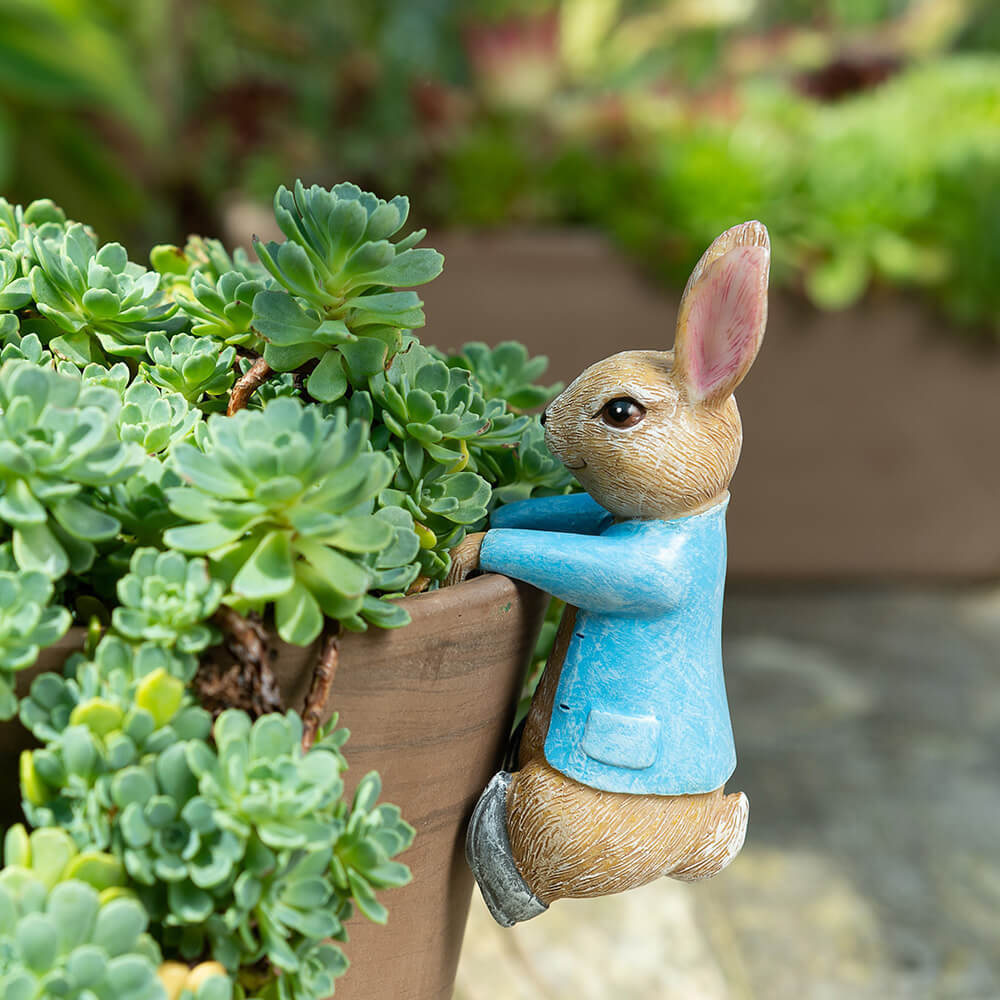 Pot Buddies Beatrix Potter Peter Rabbit Hanging on the Pot