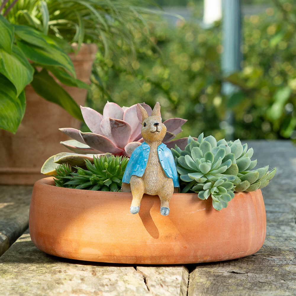 Jardinopia Pot Buddies Peter Rabbit Sitting On Pot