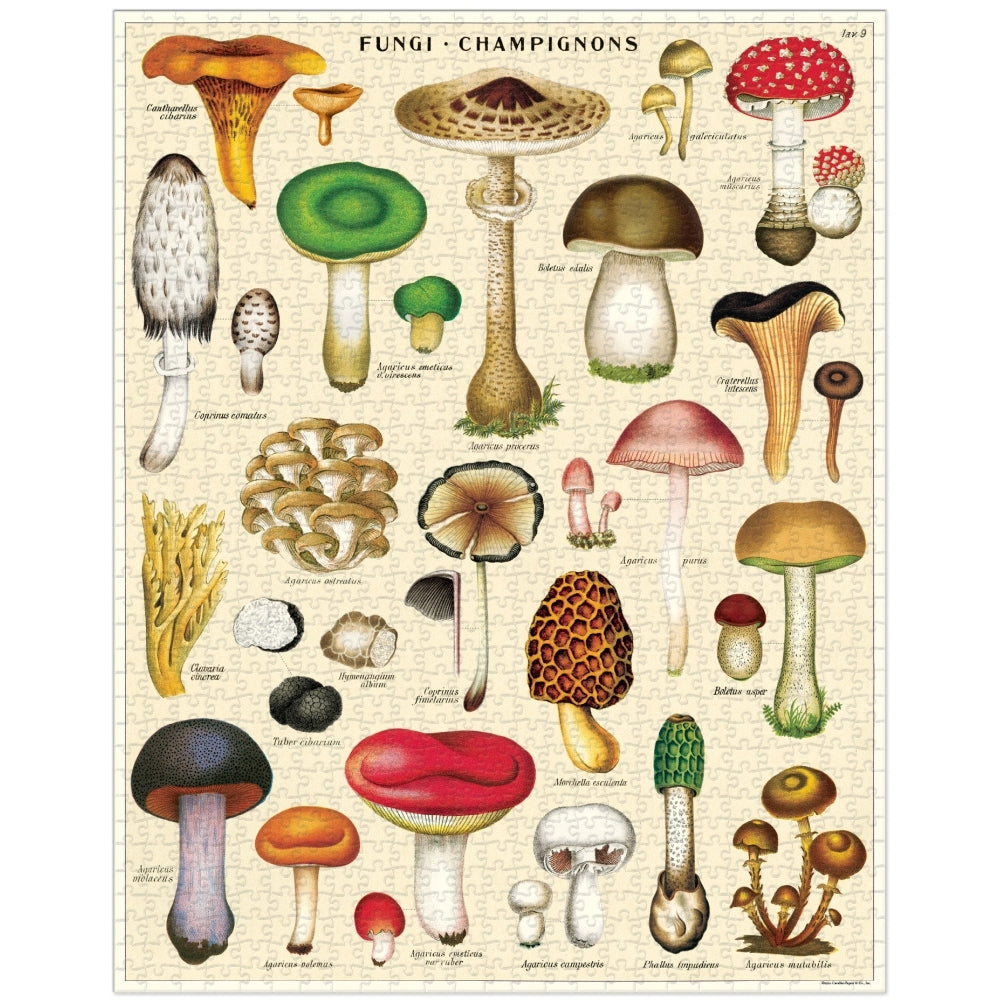 Cavallini Vintage Puzzle Mushrooms 1000 piece