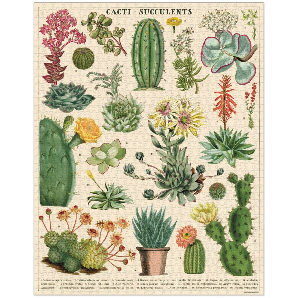 Cavallini Vintage Puzzle Cacti & Succulents 1000 piece