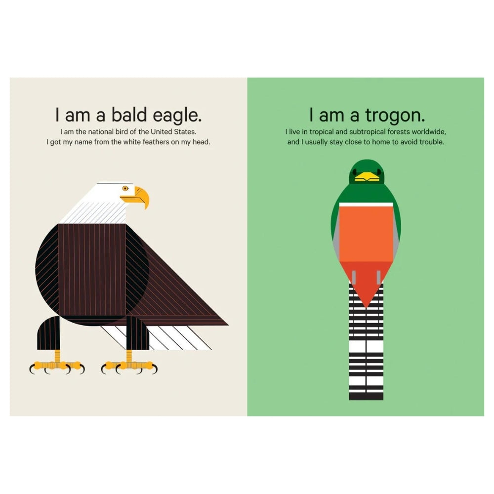 Charley Harper's Sticky Birds - Animal Sticker Kit