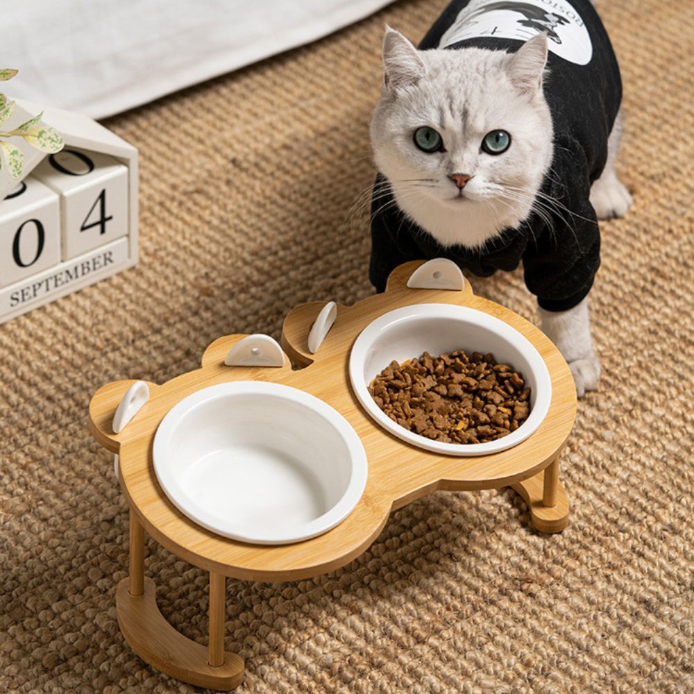 Raised & Tilted Ceramic Double Pet Bowl Set