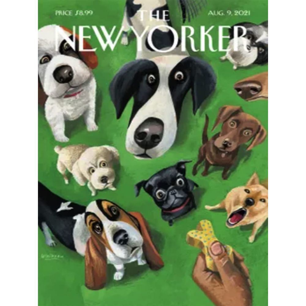 New York Puzzle Company Summer Treat 500 Piece Puzzle